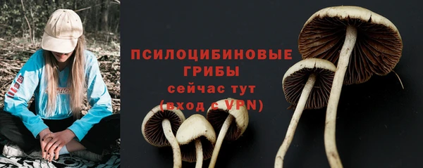 соль курить ск Абаза