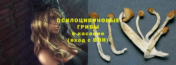 соль курить ск Абаза