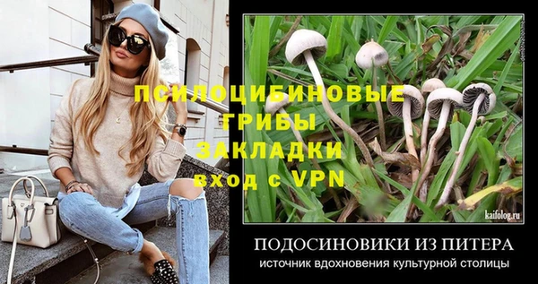 тгк Абинск