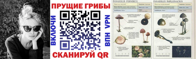 где продают наркотики  Остров  Псилоцибиновые грибы MAGIC MUSHROOMS 